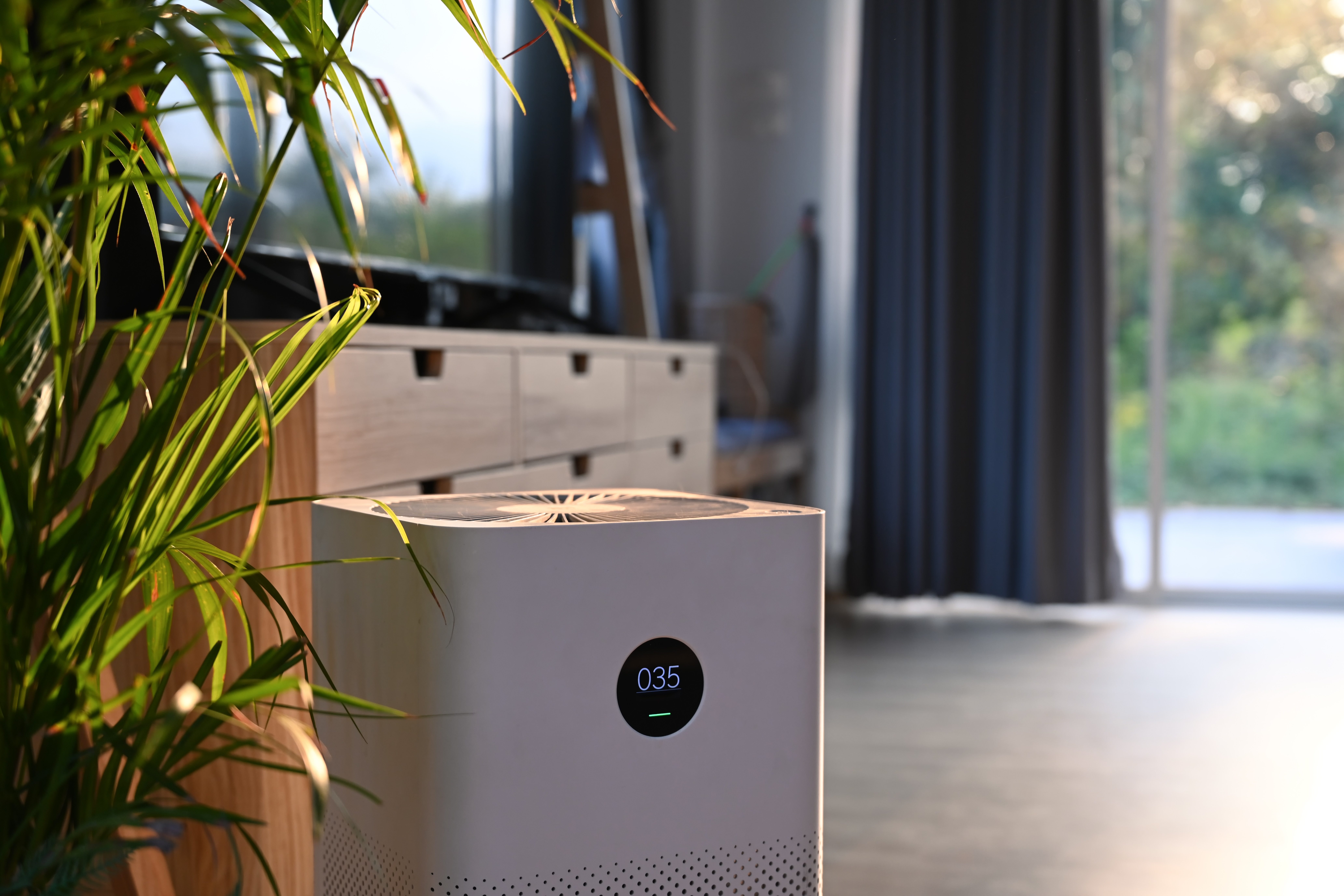 Dehumidifiers in Your Home